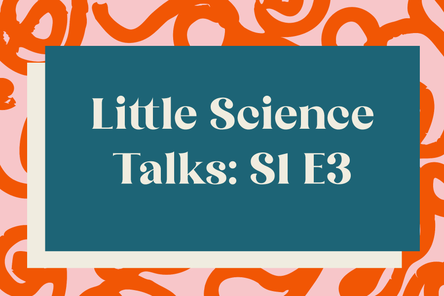 Little Science Talks: Season 1, Episode 3
